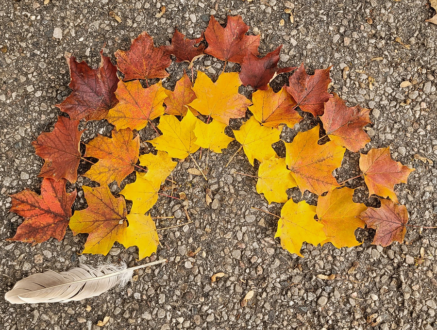 Children playing in autumn leaves during forest school