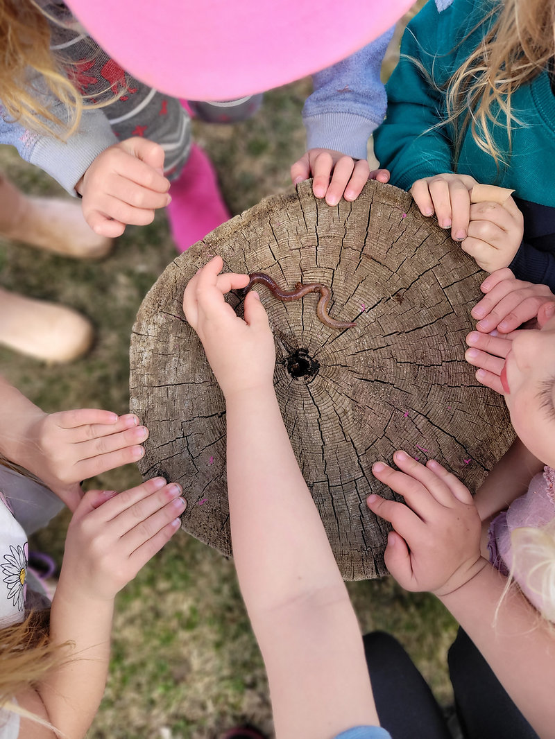 Children learning together in a forest school circle outdoors