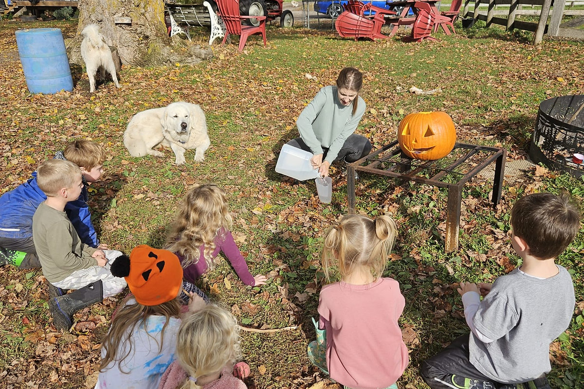 Children exploring the forest during outdoor education